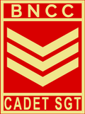 Cadet Sergeant Rank Badge